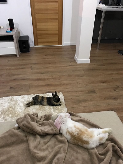 sieste.jpg