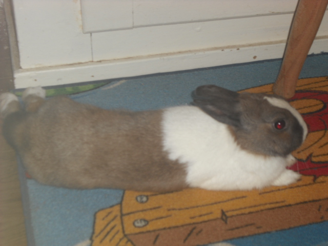 DSCF9203.JPG