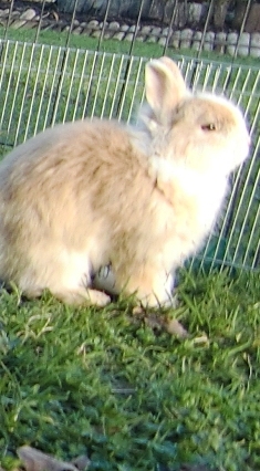 teddy3.JPG