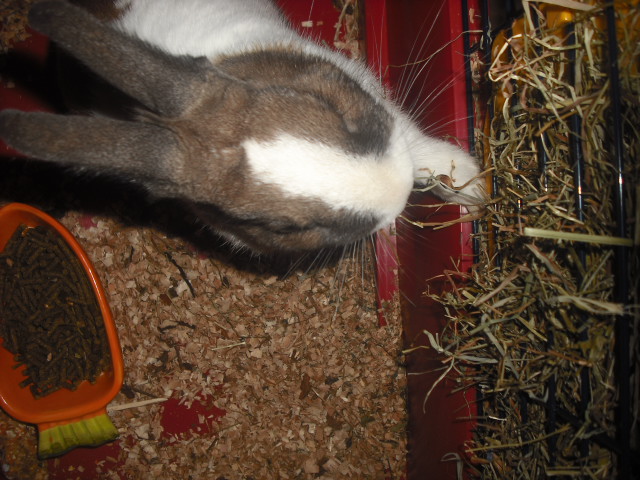 DSCF9064.JPG