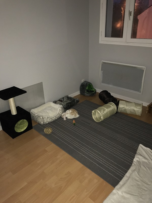 habitat.jpg